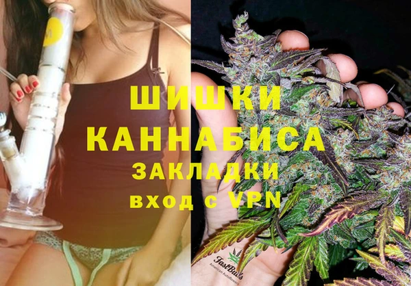 spice Мегион