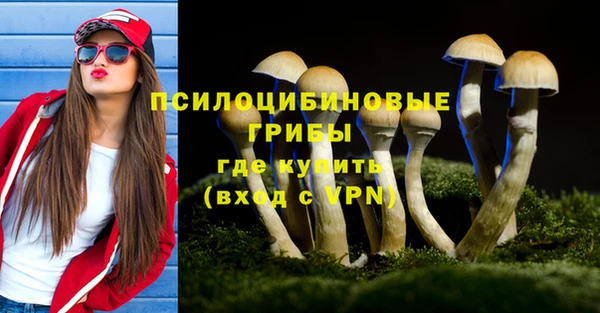 spice Мегион