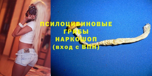 spice Мегион